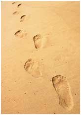 Planet X is located within walking distance to Rehoboth beach